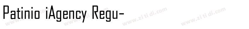 Patinio iAgency Regu字体转换